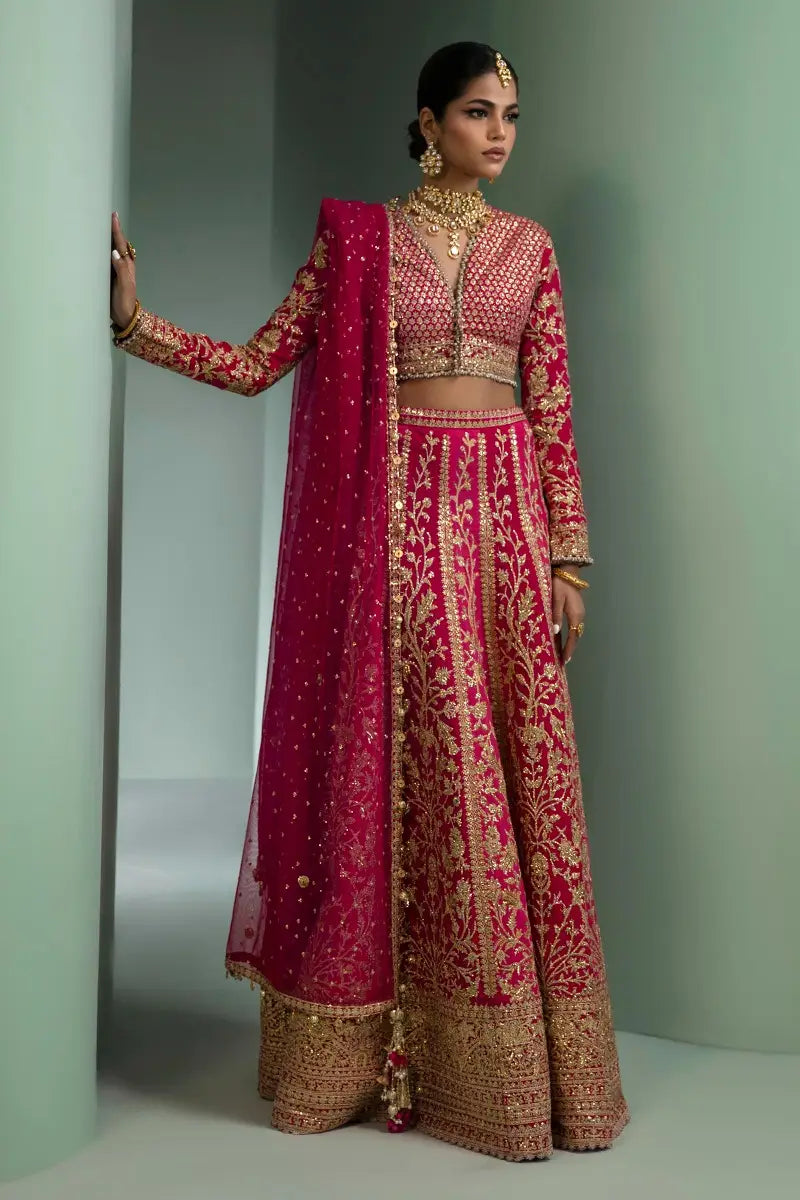 Sana Safinaz | Nura Festive 2023 | N233-004-CT - House Of Hania