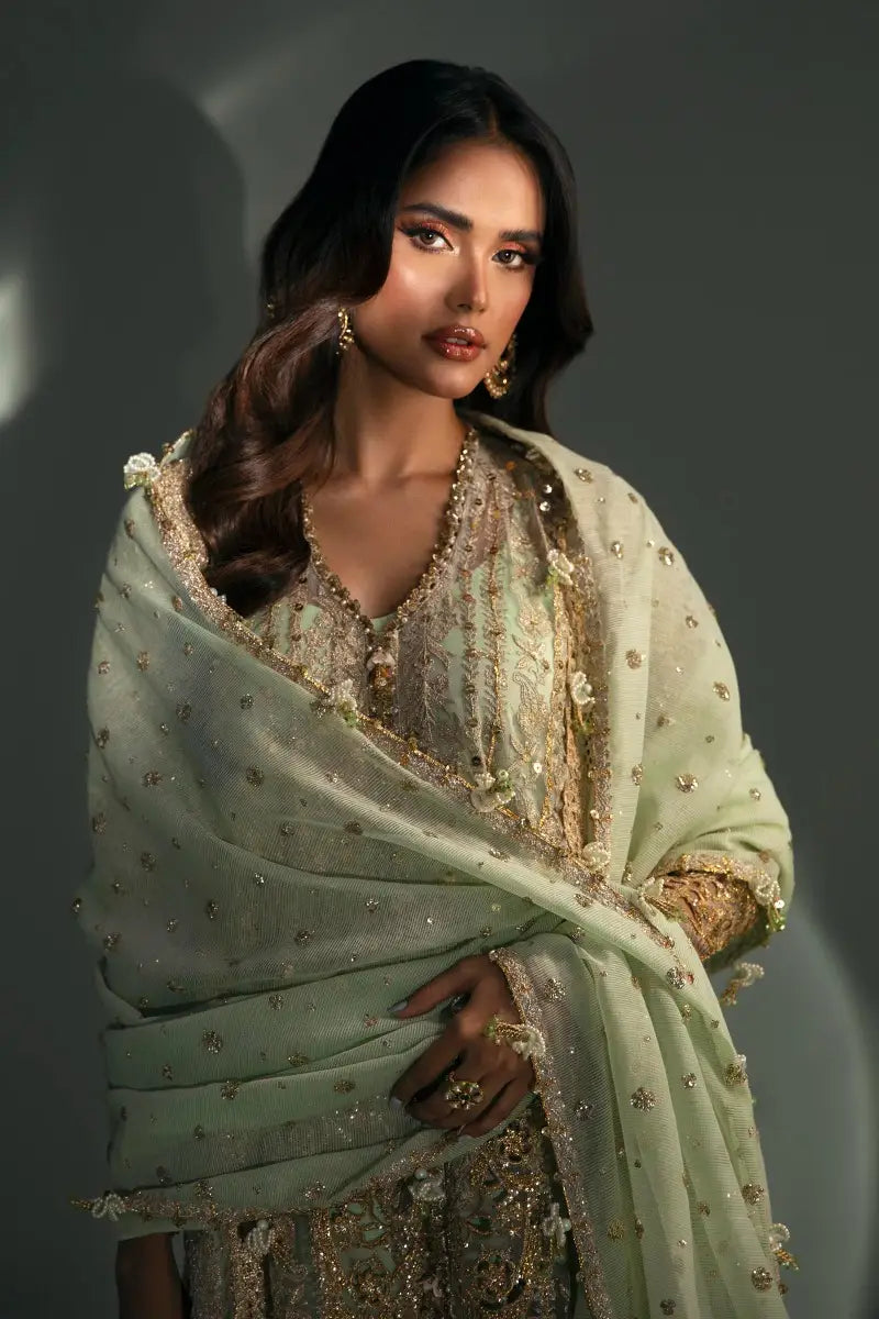 Sana Safinaz | Nura Festive 2023 | N233-007-CV - House Of Hania