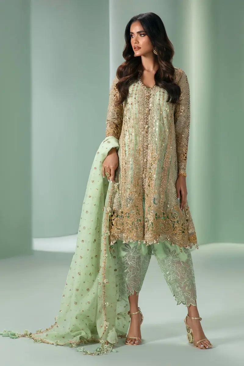 Sana Safinaz | Nura Festive 2023 | N233-007-CV - House Of Hania