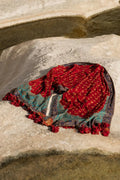 Sana Safinaz | Winter Luxury 23 | S231-003A-CP - House Of Hania