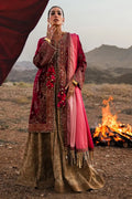 Sana Safinaz | Winter Luxury 23 | V231-004-DE - House Of Hania