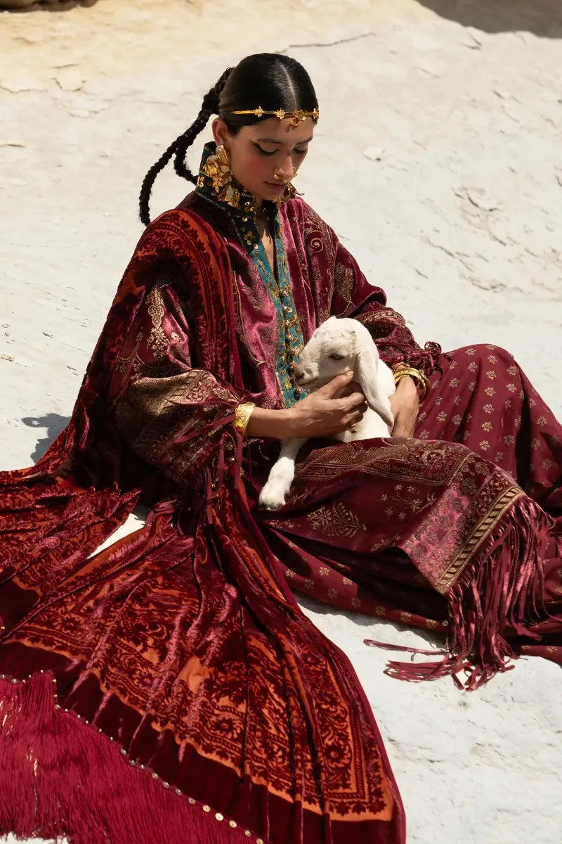Sana Safinaz | Winter Luxury 23 | V231-006-CO - House Of Hania