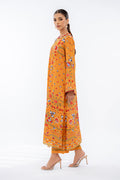 Sania Maskatiya | Eid Collection | Daneen (A) - House Of Hania