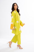 Sania Maskatiya | Eid Collection | Misbah (B) - House Of Hania