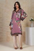 Shamaeel Ansari | Daily Pret Wear | ECK-20 - House Of Hania