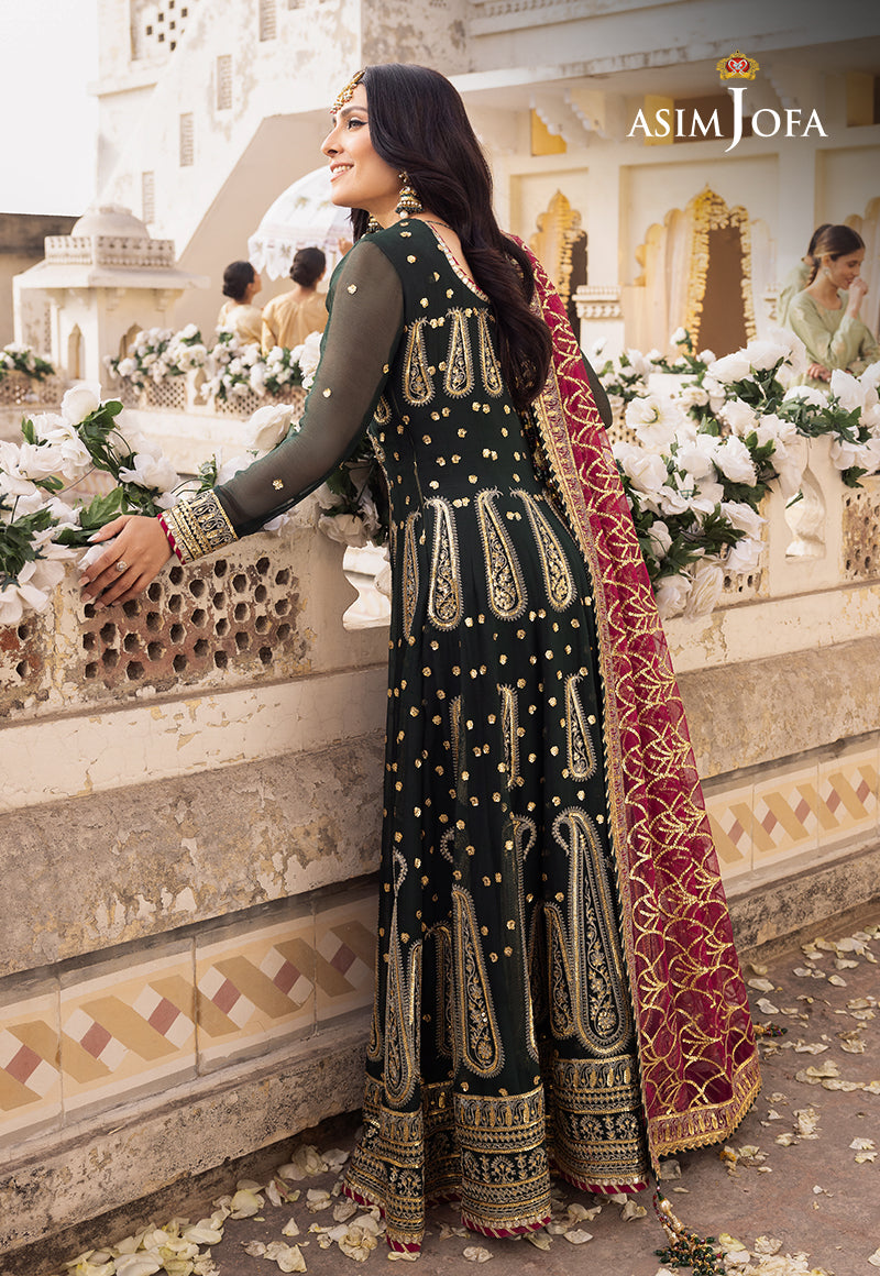 Shehnai by Asim Jofa Embroidered Chiffon 3Pc Suit AJSH-11 - House Of Hania