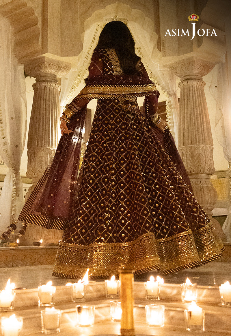 Shehnai by Asim Jofa Embroidered Net 3Pc Suit AJSH-04 - House Of Hania
