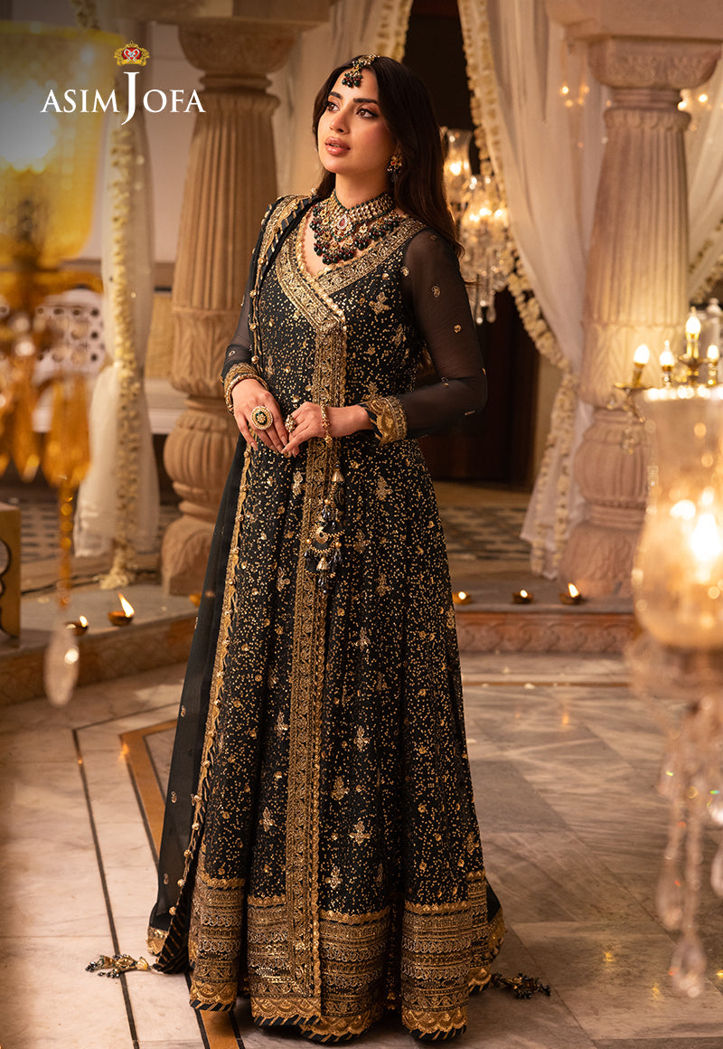 Shehnai by Asim Jofa Embroidered Net 3Pc Suit AJSH-05 - House Of Hania