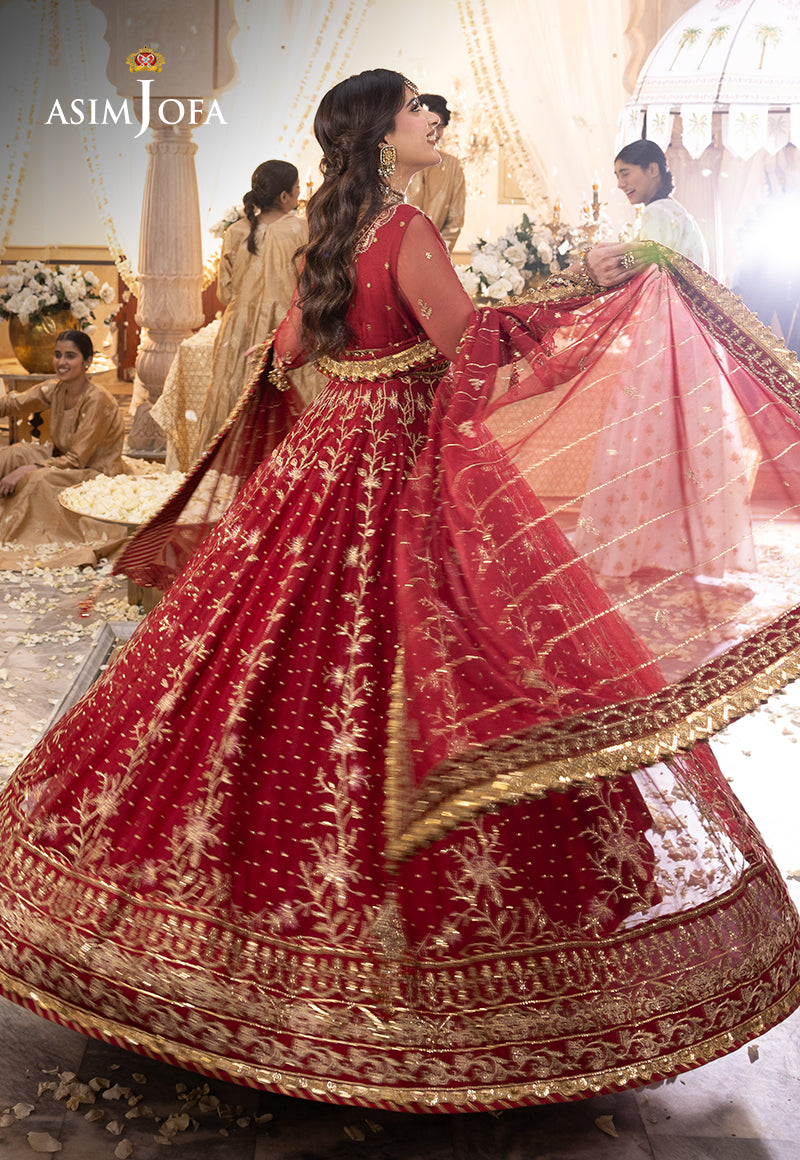 Shehnai by Asim Jofa Embroidered Net  3Pc Suit AJSH-06 - House Of Hania