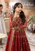 Shehnai by Asim Jofa Embroidered Net  3Pc Suit AJSH-06 - House Of Hania