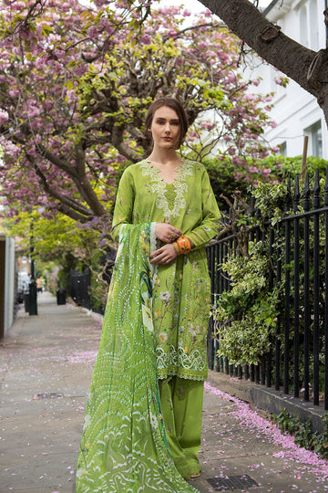 Sobia Nazir | Basics 25 | Design 3A - House Of Hania