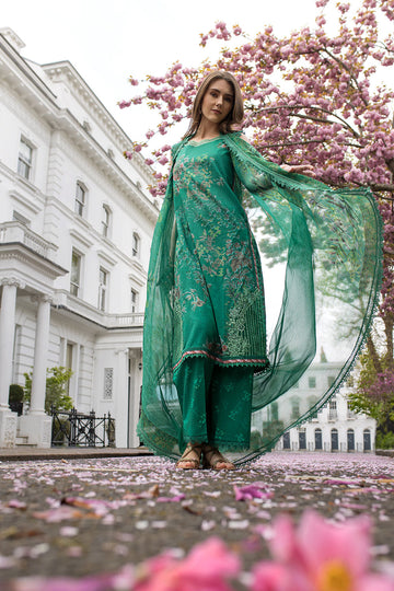 Sobia Nazir | Basics 25 | Design 5B - House Of Hania