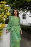 Sobia Nazir | Basics 25 | Design 7B - House Of Hania