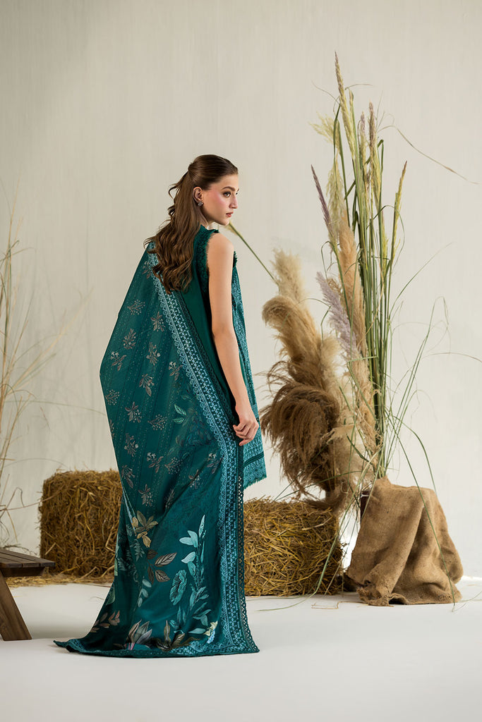 Sobia Nazir | Winter 25 | WE25-V1-4A - House Of Hania