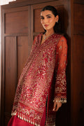Solene by Ayzel Embroidered Organza 3Pc Suit D-09 ADVA - House Of Hania