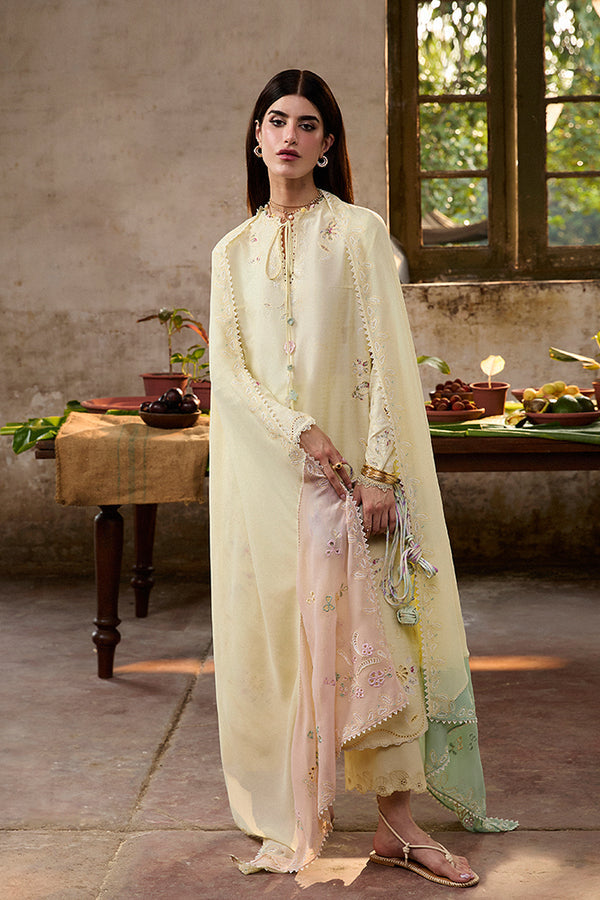 Suffuse | Basic Summer 25 | AMAAH - House Of Hania