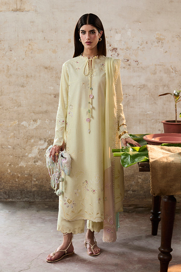 Suffuse | Basic Summer 25 | AMAAH - House Of Hania