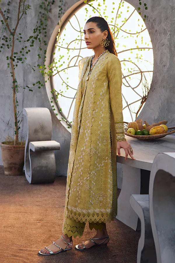 Suffuse | Casual Pret Eid 24 | Zayb - House Of Hania