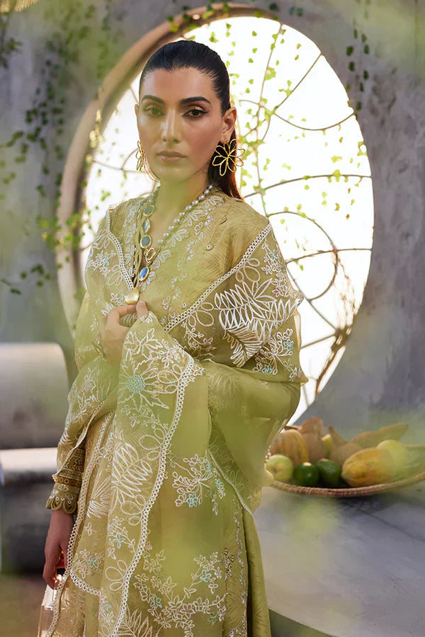 Suffuse | Casual Pret Eid 24 | Zayb - House Of Hania