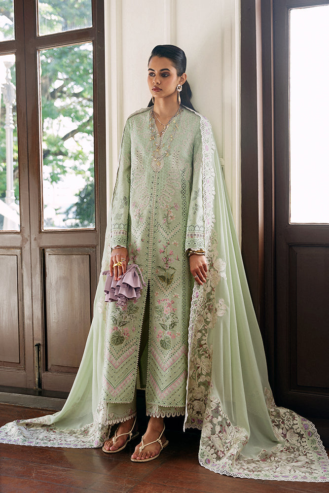 Suffuse | Casual Pret Eid 26 | AREEHA - House Of Hania