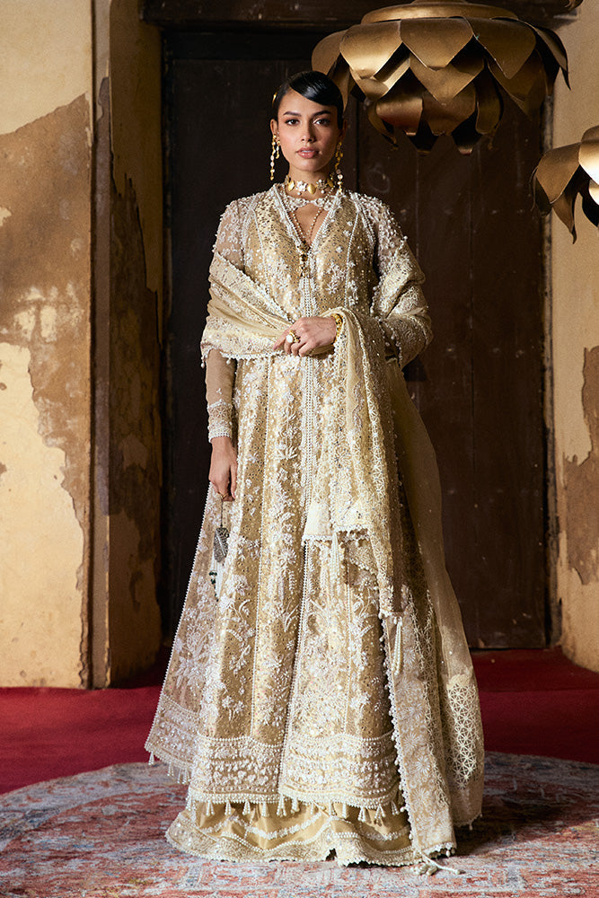 Suffuse | Freeshia Wedding Formals | GULRAIZ - House Of Hania