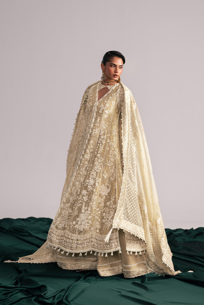Suffuse | Freeshia Wedding Formals | GULRAIZ - House Of Hania