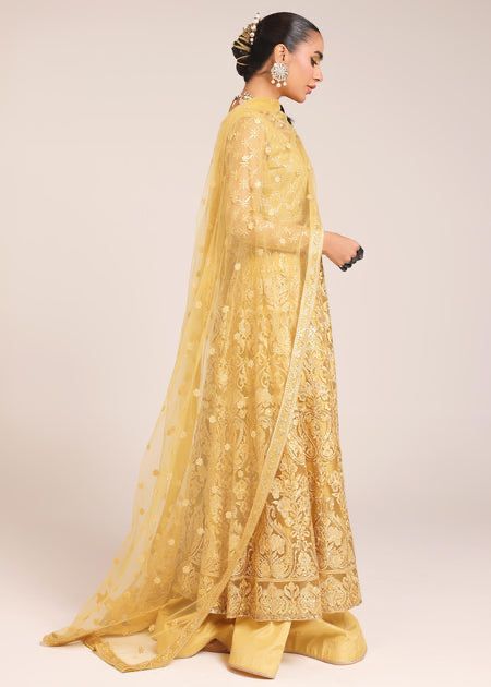 Sunflower - House Of Hania