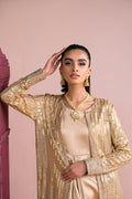 Vanya | Fareesha Formals | FR-06 - House Of Hania