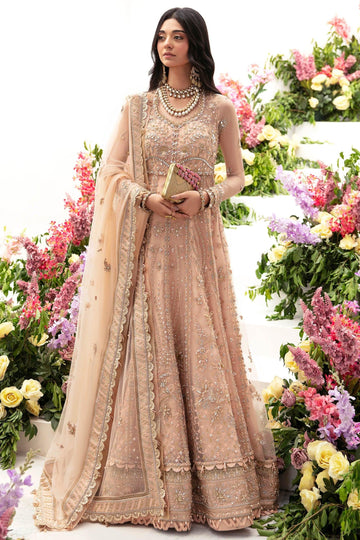 Zaha | Gossamer Formals 23 | NEDA (ZC23-04) - House Of Hania