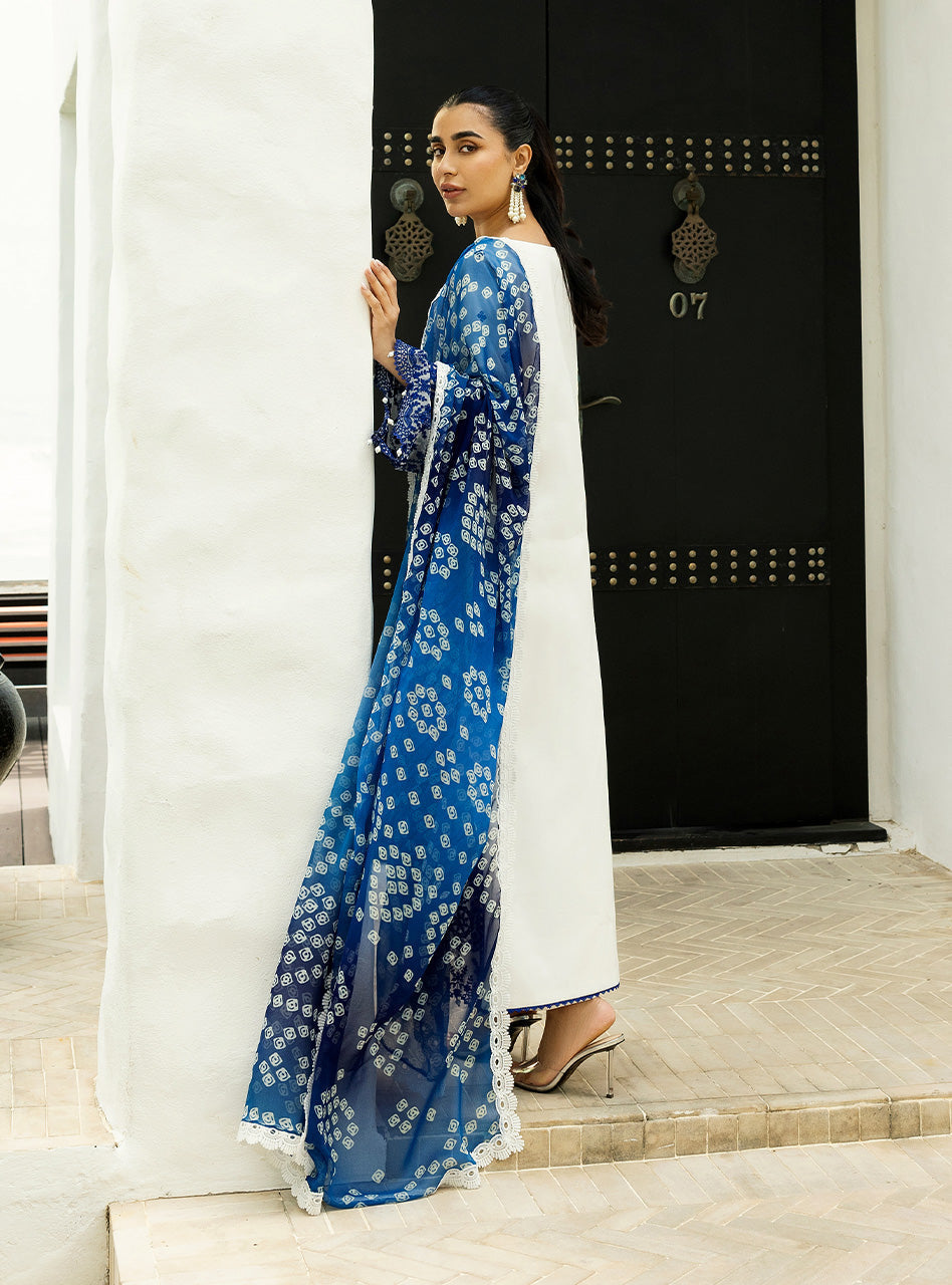 Zainab Chottani | Chikankari 25 | Reem - 8A - House Of Hania