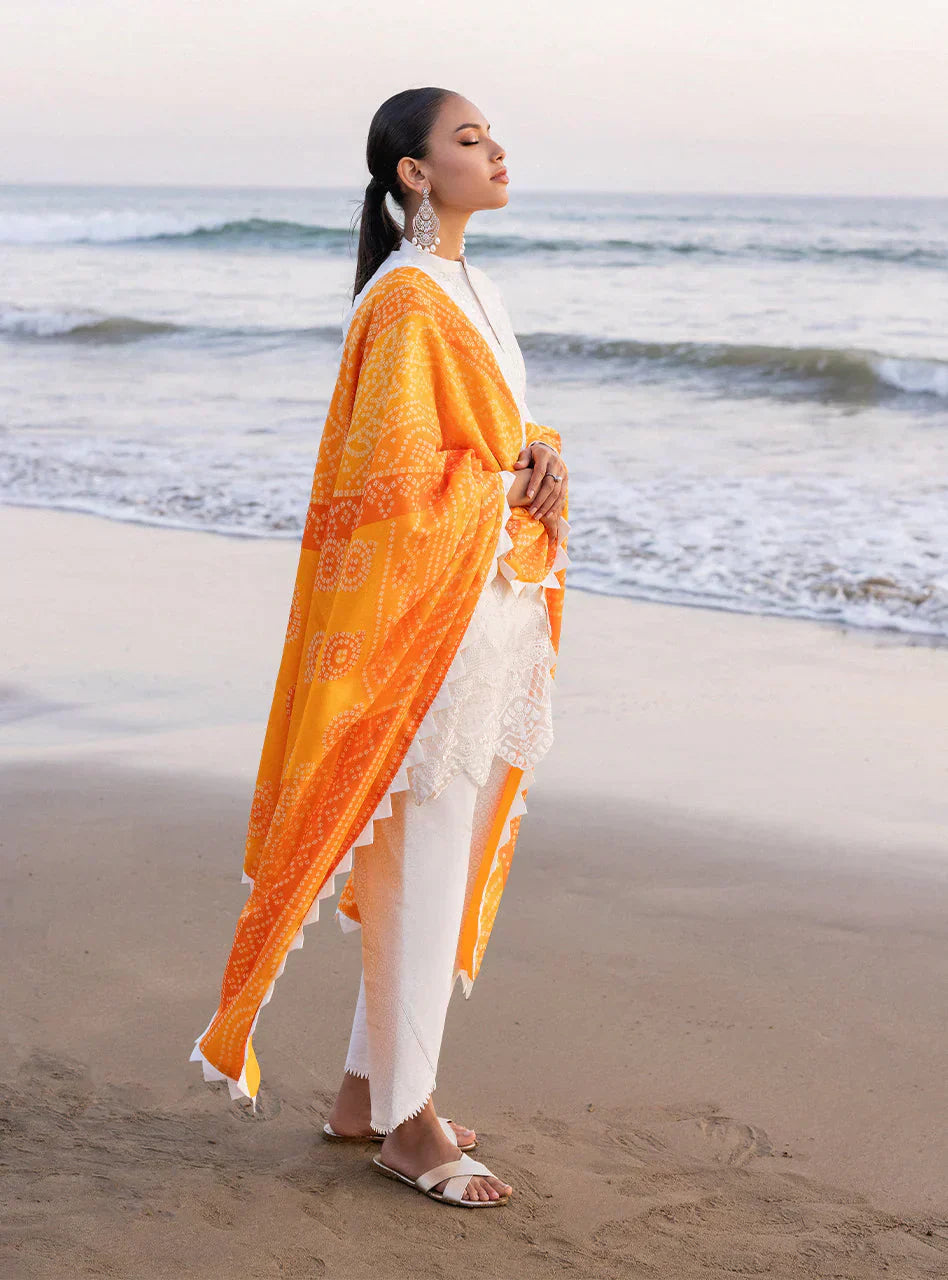 Zainab Chottani Embroidered Chikankari Lawn 3Pc Suit D-03B Chunari - House Of Hania