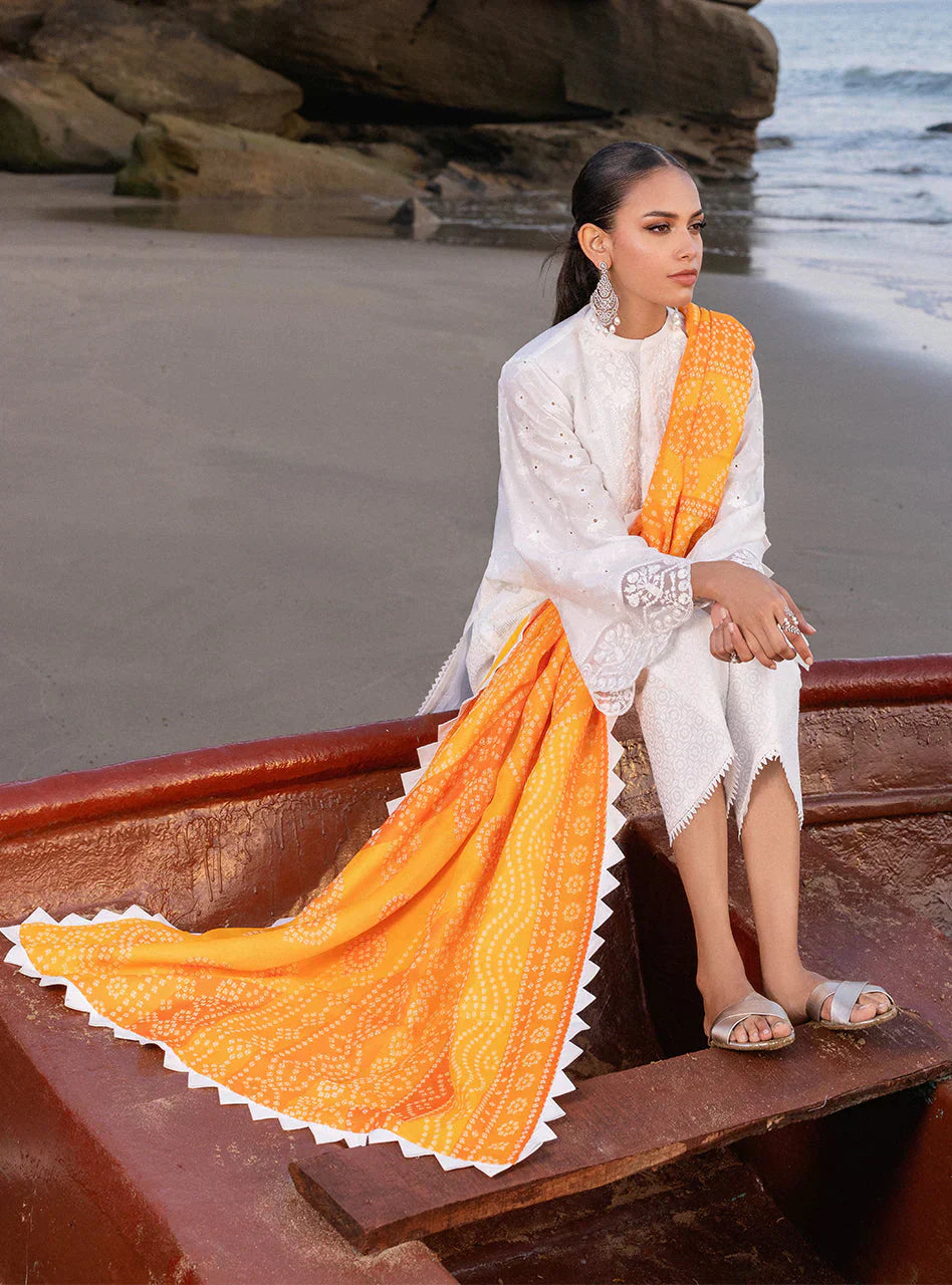 Zainab Chottani Embroidered Chikankari Lawn 3Pc Suit D-03B Chunari - House Of Hania