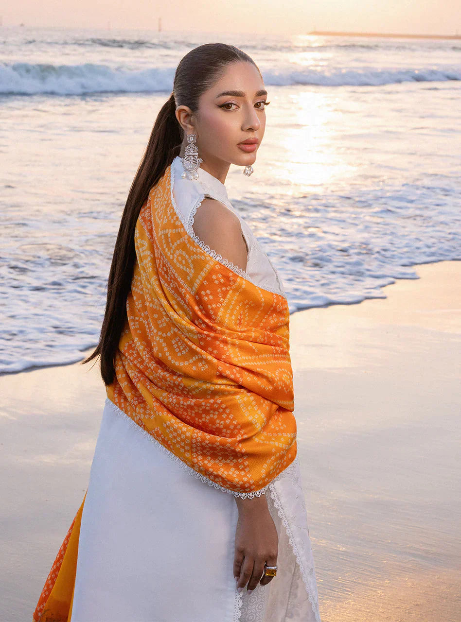 Zainab Chottani Embroidered Chikankari Lawn 3Pc Suit D-03B Chunari - House Of Hania