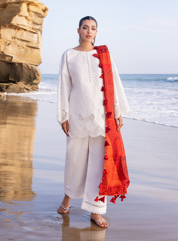 Zainab chottani | Luxury Chikankari 24 | CHUNARI - 3A - House Of Hania