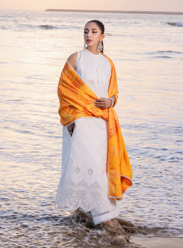 Zainab chottani | Luxury Chikankari 24 | CHUNARI - 3B - House Of Hania