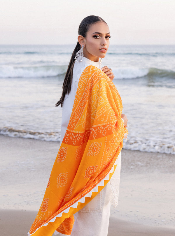 Zainab chottani | Luxury Chikankari 24 | CHUNARI - 3B - House Of Hania
