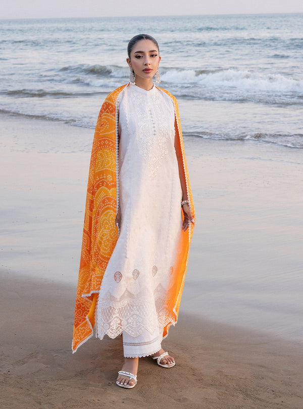 Zainab chottani | Luxury Chikankari 24 | CHUNARI - 3B - House Of Hania