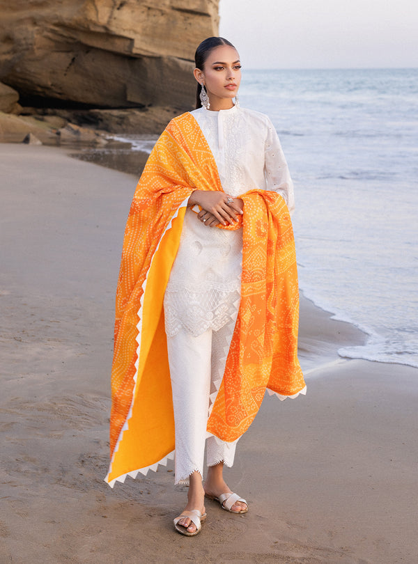 Zainab chottani | Luxury Chikankari 24 | CHUNARI - 3B - House Of Hania