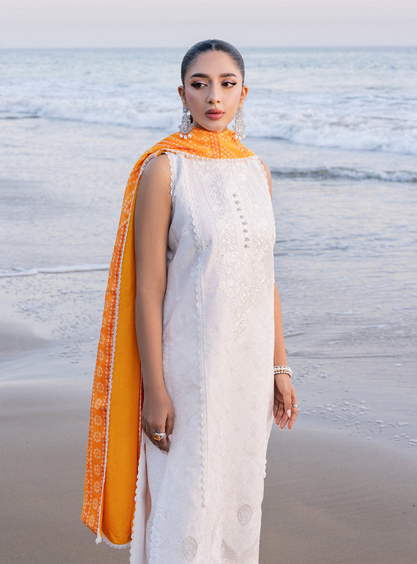 Zainab chottani | Luxury Chikankari 24 | CHUNARI - 3B - House Of Hania