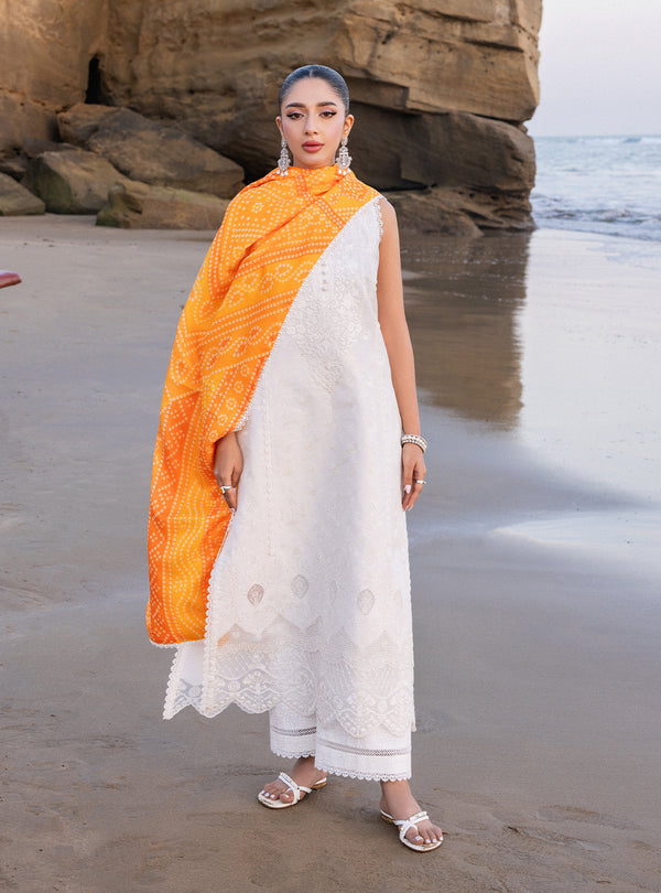 Zainab chottani | Luxury Chikankari 24 | CHUNARI - 3B - House Of Hania