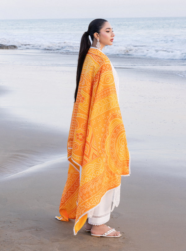 Zainab chottani | Luxury Chikankari 24 | CHUNARI - 3B - House Of Hania