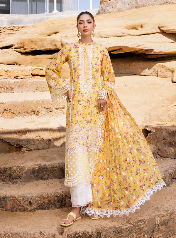 Zainab chottani | Luxury Chikankari 24 | ESME - 9B - House Of Hania