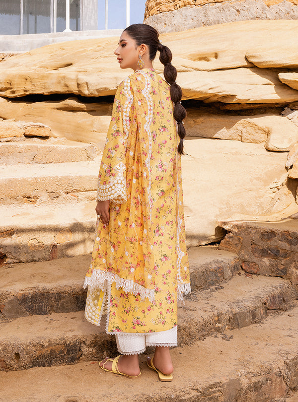 Zainab chottani | Luxury Chikankari 24 | ESME - 9B - House Of Hania
