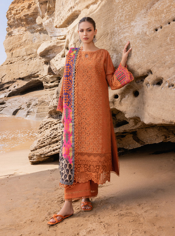 Zainab chottani | Luxury Chikankari 24 | NAYSA - 4A - House Of Hania