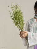 Zara Shahjahan | Coco Lawn 26 | Lune-2A - House Of Hania