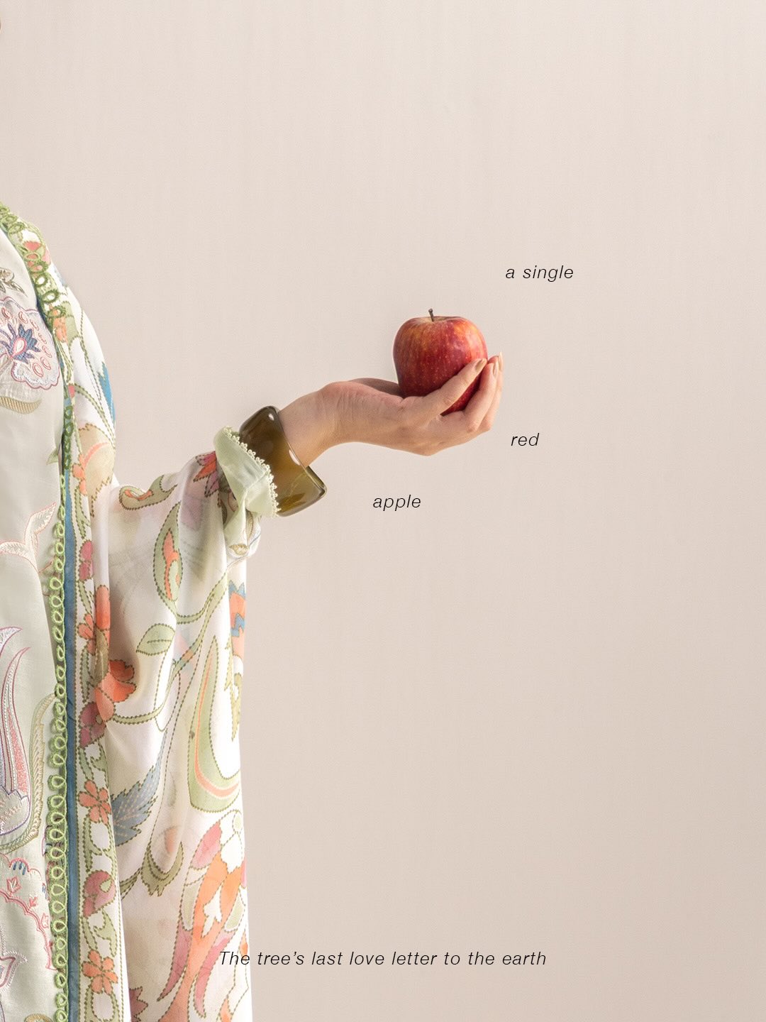 Zara Shahjahan | Coco Lawn 26 | Sia-4B - House Of Hania