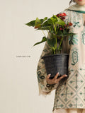 Zara Shahjahan | Coco Lawn 26 | Soren-9B - House Of Hania