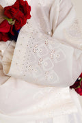Zara Shahjahan | Stitched Lawn 24 | SL-DEENA-12B - House Of Hania