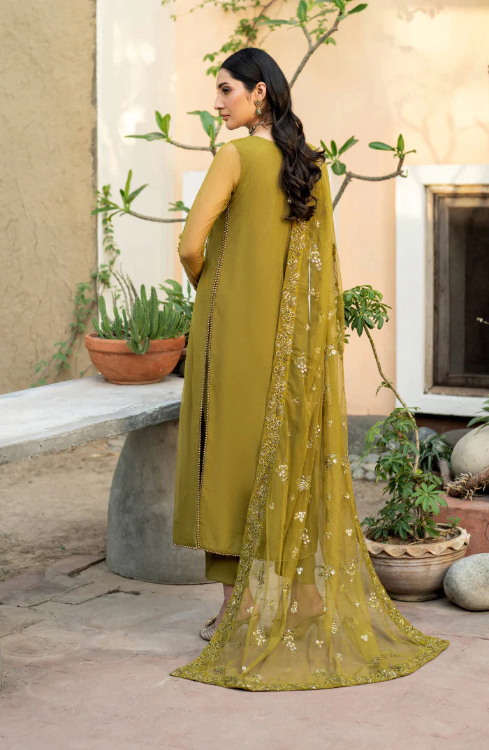 Zarif | Arzou collection | UNST-HW-06 JEAN - House Of Hania