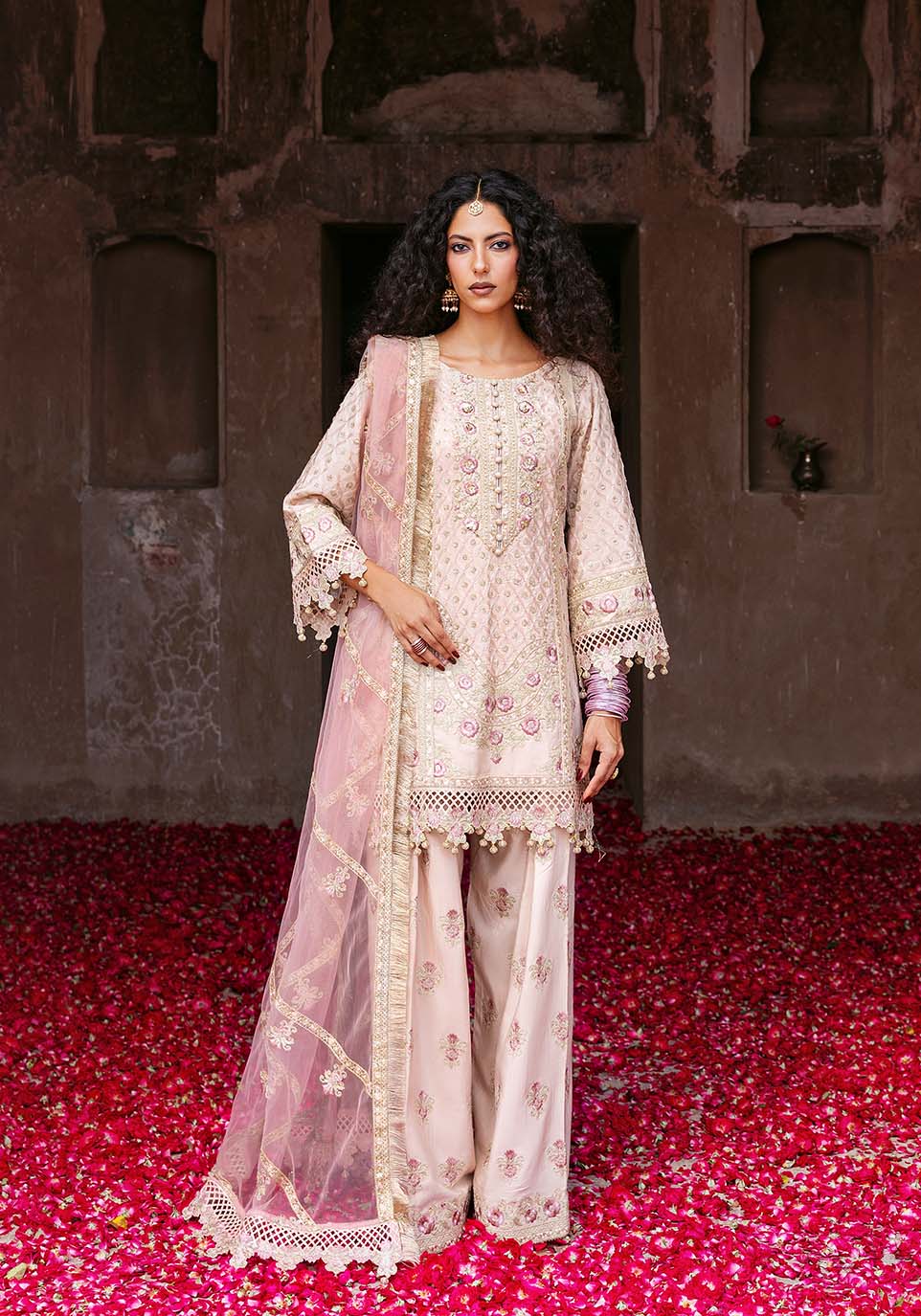 Zarqash | Arzoo Festive Collection | Bahār - House Of Hania